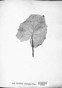 Image Associated With the Occurence